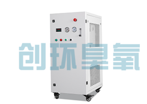 安次石斑鱼养殖水质调控完整指南:臭氧发生器配置与操作步骤