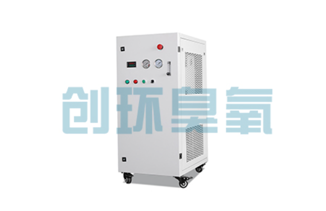 安次比传统换水更高效?臭氧发生器在石斑鱼养殖中的水质净化原理解析